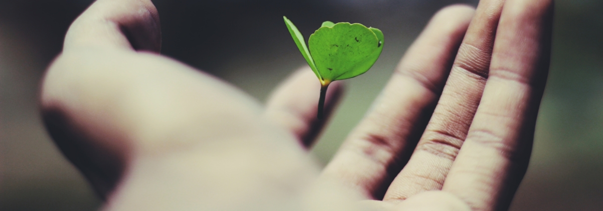 KMU Digitalisierung Schweiz