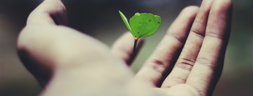 KMU Digitalisierung Schweiz