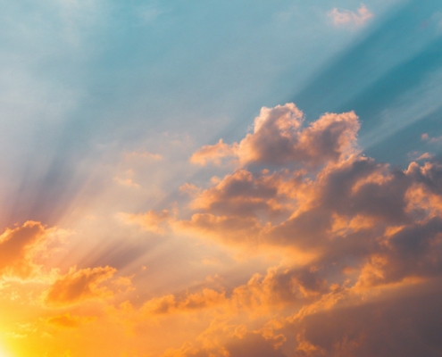 Software as a service Umstellung auf die Cloud