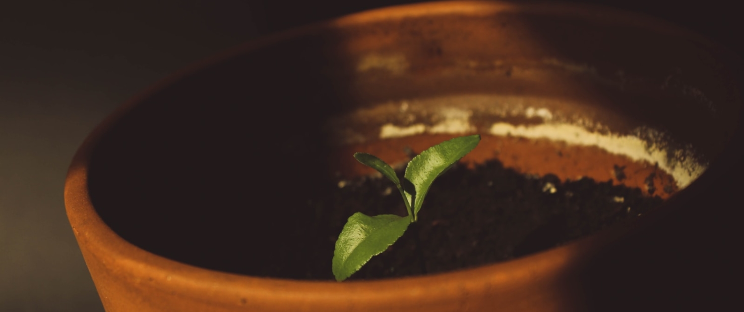 Was ist Lead-Nurturing? So begleiten Sie Leads optimal bis zum Abschluss – mit Automatisierung und Zoho CRM.