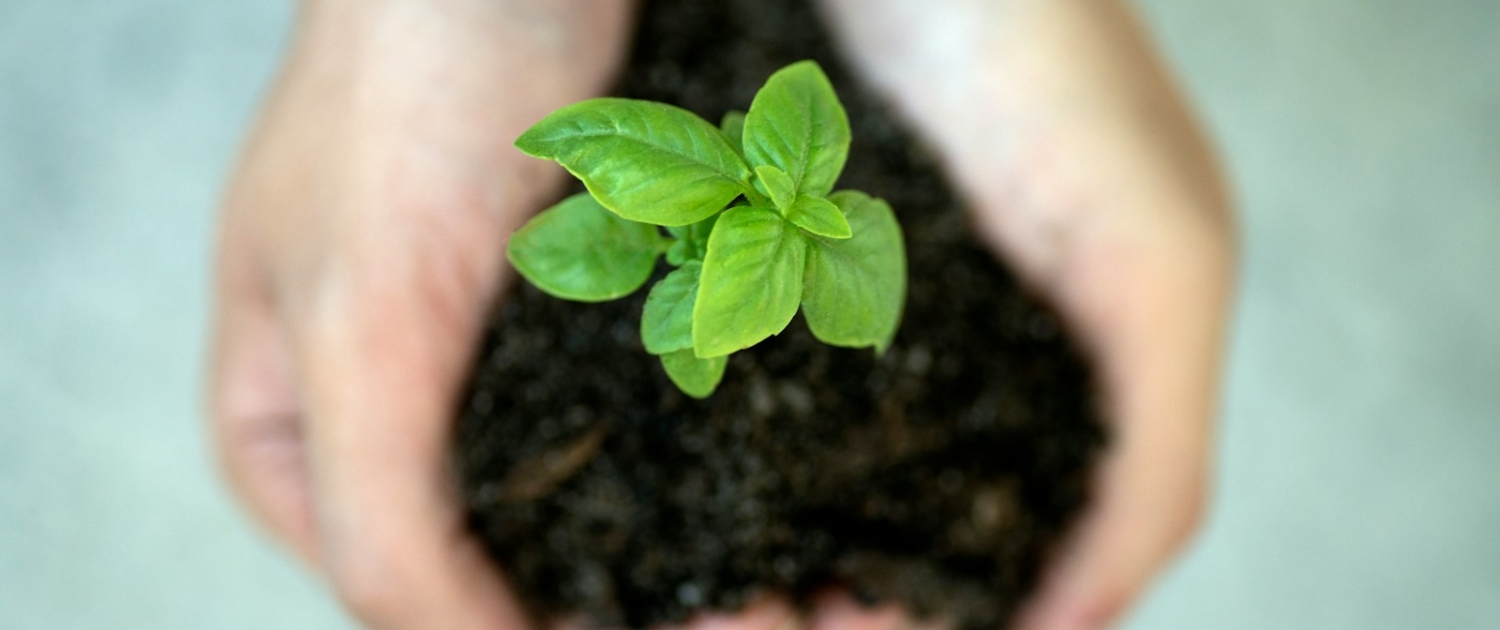 Was ist Lead-Nurturing? So begleiten Sie Leads optimal bis zum Abschluss – mit Automatisierung und Zoho CRM.