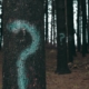 forest trees marked with question marks
