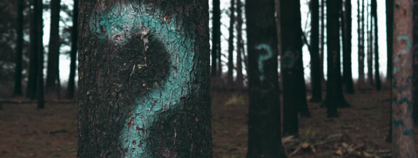 forest trees marked with question marks