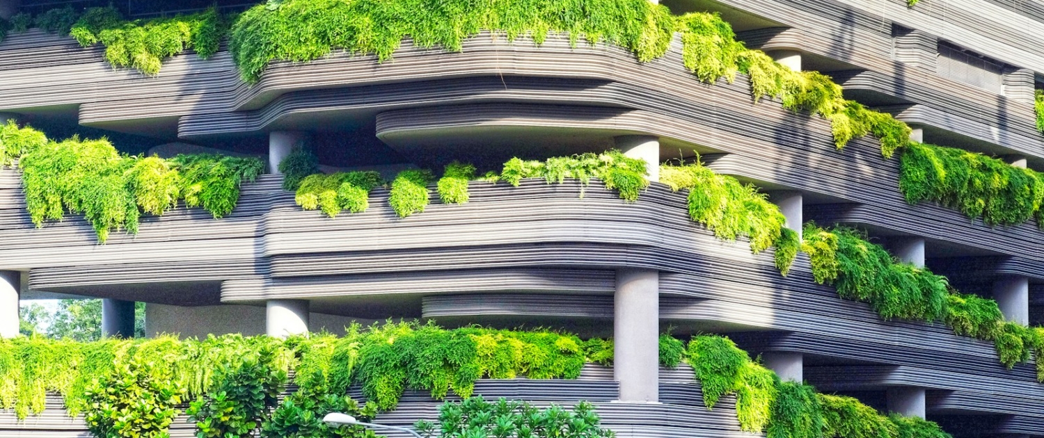 gray concrete building covered trees